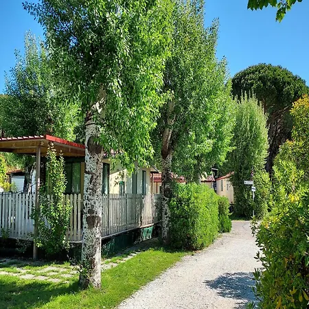 Mobile In Sarazena In Einem Holiday home